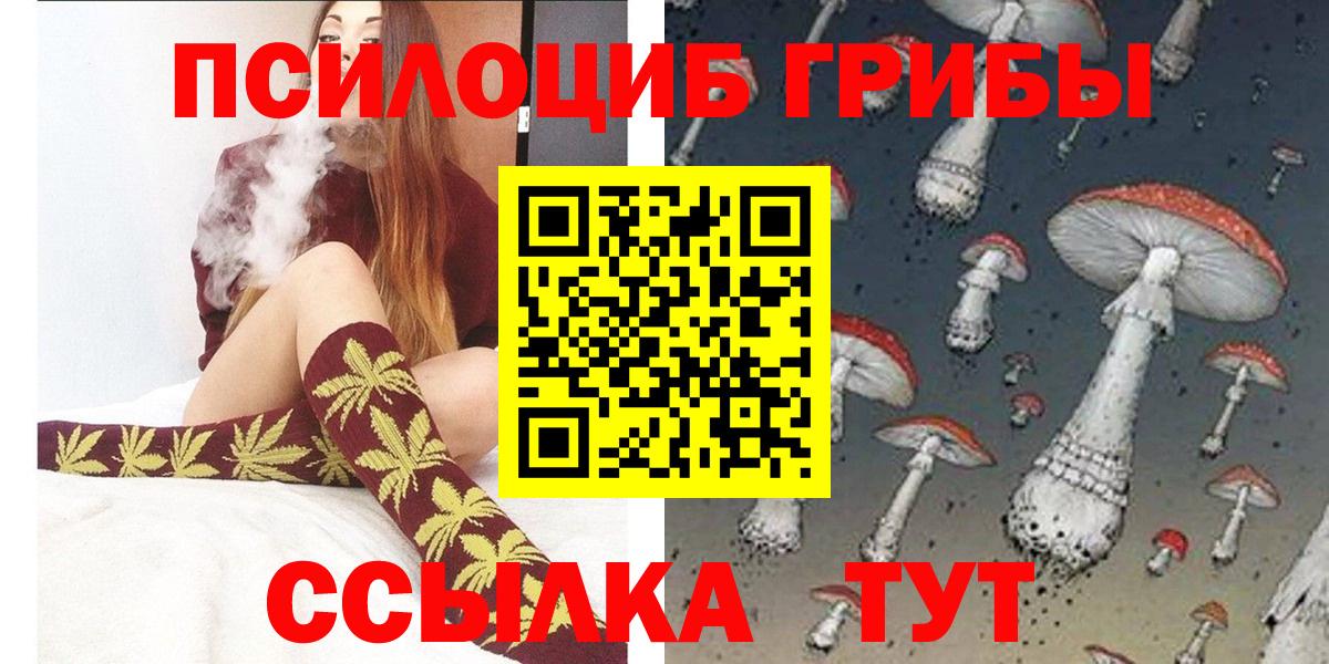 Псилоцибиновые грибы MAGIC MUSHROOMS  Вход с VPN  как найти закладки  Галлюциногенные грибы GOLDEN TEACHER  Зима 
